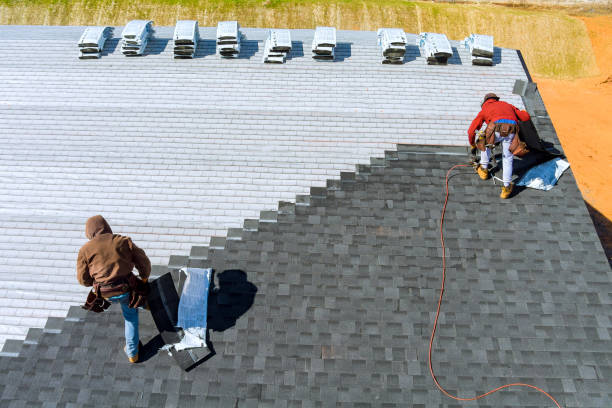 Best Roof Gutter Cleaning  in Park Hills, MO